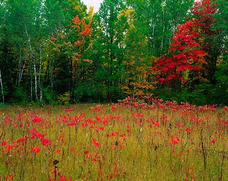 عکسهای جذاب,تصاویر دیدنی