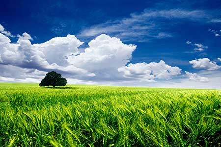 عکسهای جذاب,تصاویر دیدنی