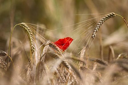 عکسهای جذاب,تصاویر دیدنی