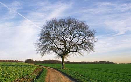 عکسهای جالب,تصاویر جالب