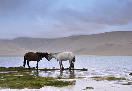 عکسهای جالب,عکسهای جذاب