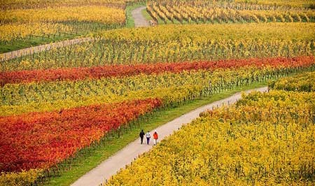 عکسهای جذاب,منظره ای زیبا,تصاویر جالب