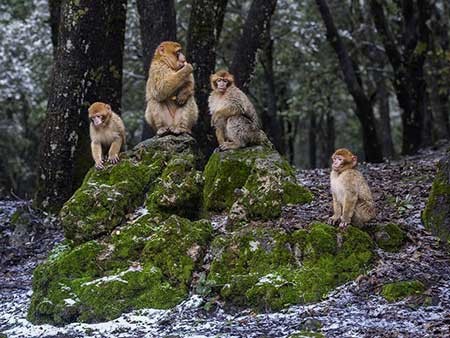 عکسهای جالب,تصاویر جالب