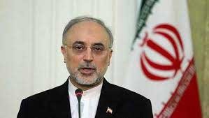 اخبار,اخبار سیاسی ,سازمان انرژی اتمی 