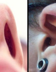اخبار,اخباراجتماعی ,جراحی‌های زیبایی