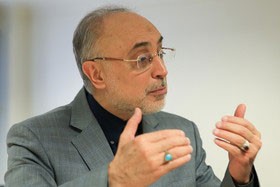 اخبار,اخبار سیاسی,سازمان انرژی اتمی ایران