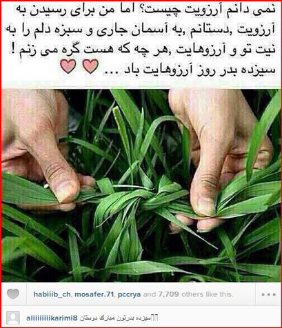 اخبار,اخبار ورزشی , علی کریمی اخبار,اخبار ورزشی , علی کریمی