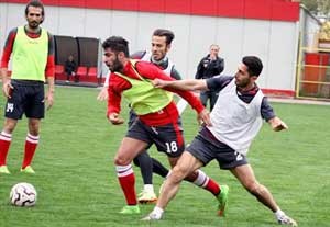اخبار,اخبار ورزشی ,مهرداد کفشگری