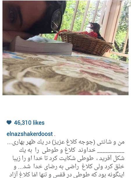 اخبار,اخبار فرهنگی , عکس بازیگران زن اخبار,اخبار فرهنگی , عکس بازیگران زن
