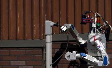 اخبار,اخبار علمی , رباتهای فوق هوشمند