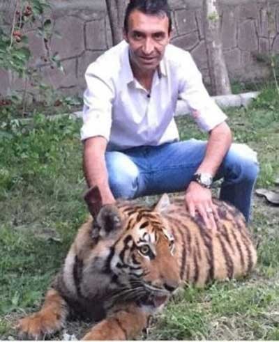 اخبار,اخبار ورزشی ,رضا عنایتی 
