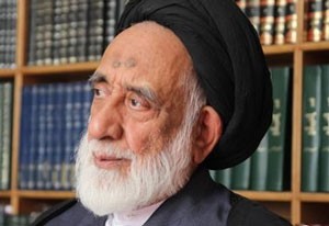 اخبار,اخبار سیاسی, سیدمهدی طباطبایی