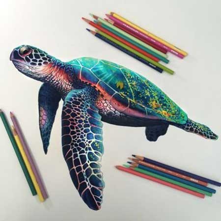 عکس نقاشی های حرفه ای با مداد رنگی