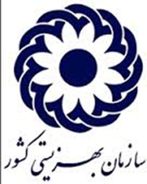 اخبار,اخبار اجتماعی,بهزیستی