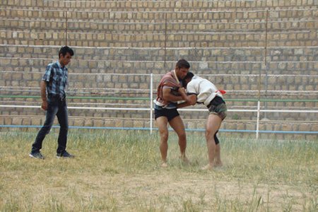 اخبار,اخبار ورزشی, گلادیاتورهای ایرانی