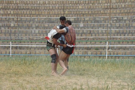 اخبار,اخبار ورزشی, گلادیاتورهای ایرانی