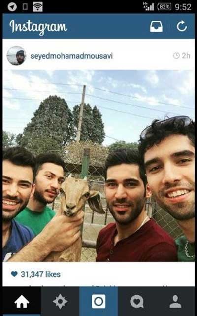 اخبار,اخبار ورزشی ,لیگ برتر والیبال 