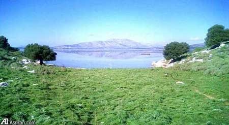 اخبار,اخباربین الملل,فروش  جزایر یونان