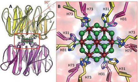 اخبار , اخبار علمی,تولید کوچک ترین نانوبلور,نانوبلور دنیا