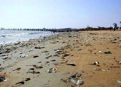 اخبار,اخبار اجتماعی,دریای خزر