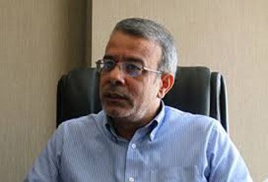 اخبار,اخبار سیاسی,محمد کیانوش راد