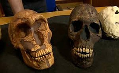 اخبار,اخبار علمی,انسانهای ناندرتال اخبار,اخبار علمی,انسانهای ناندرتال