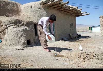 اخبار,اخبار