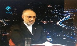 اخبار,اخبارسیاسی  ,علی‌اکبر صالحی