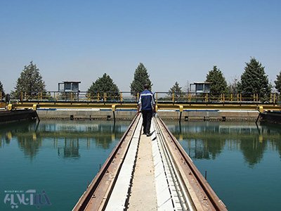 اخبار,اخبار اجتماعی,ماهی های دریاچه های دوقلو