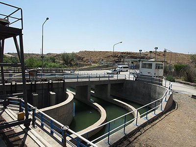 اخبار,اخبار اجتماعی,ماهی های دریاچه های دوقلو