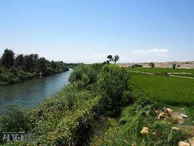 اخبار,اخبار اجتماعی,ماهی های دریاچه های دوقلو
