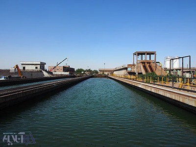 اخبار,اخبار اجتماعی,ماهی های دریاچه های دوقلو