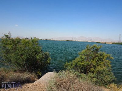 اخبار,اخبار اجتماعی,ماهی های دریاچه های دوقلو