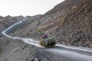 اخبار,اخبار سیاسی,جاده اختصاصی سایت فردو