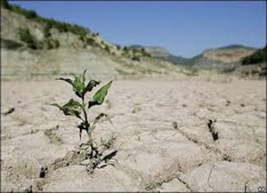 اخبار,اخبار اجتماعی,خشکسالی اخبار,اخبار اجتماعی,خشکسالی