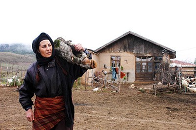 اخبار,اخبار فرهنگی,بازیگران زن ایرانی
