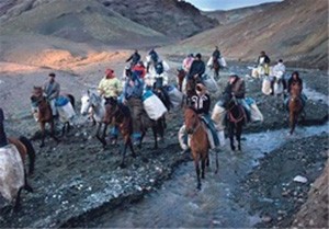 اخبار,اخبار اقتصادی,بنزین یارانه ای