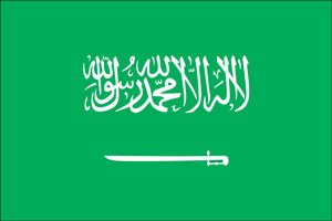 اخبار,اخبارسیاست خارجی,عربستان اخبار,اخبارسیاست خارجی,عربستان