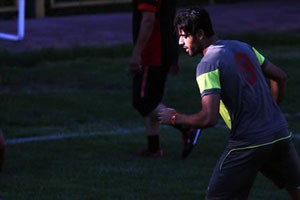 اخبار,اخبارورزشی,مهدی طارمی