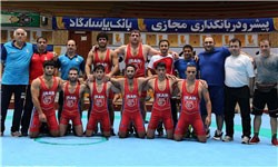 اخبار,اخبارورزشی, کشتی آزاد 