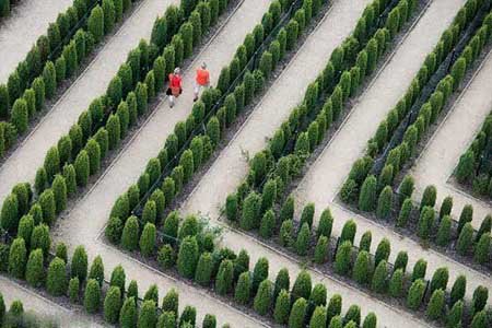 زیباترین باغ ها,باغ های پیچ در پیچ