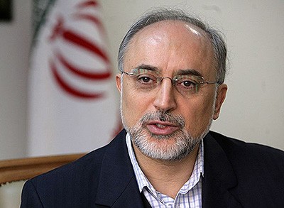 اخبار,اخبار سیاسی,علی اکبر صالحی