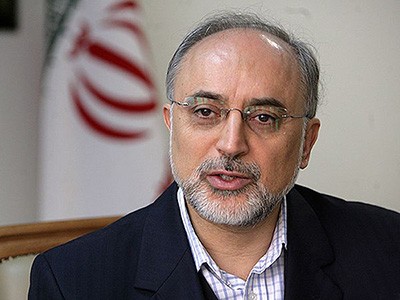 اخبار,اخبار سیاسی,علی اکبر صالحی