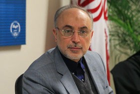 اخبار,اخبارسیاسی, علي‌اكبر صالحي