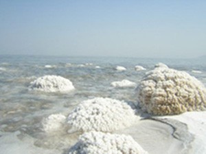 اخبار,اخبار اجتماعی,نمک‌