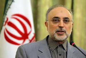 اخبار,اخبار سیاسی,علی‌اکبر صالحی