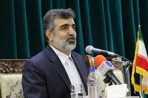 اخبار,اخبار سیاسی, سازمان انرژی اتمی