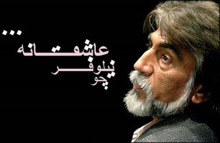اخبار , اخبار فرهنگی,بیوگرافی قیصر امین پور,درمورد قیصر امین پور