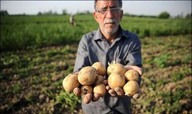 اخبار,اخبار امروز,اخبار جدید