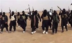 اخبار,اخباربین الملل ,گروه تروریستی داعش